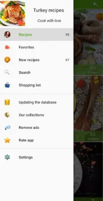 Turkey recipes android App screenshot 4